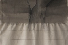 1_Maria-Kokkonen_Body-became-a-tree-1-150x95cm-Pencil-and-ink-on-canvas-Feb.-2015.jpeg